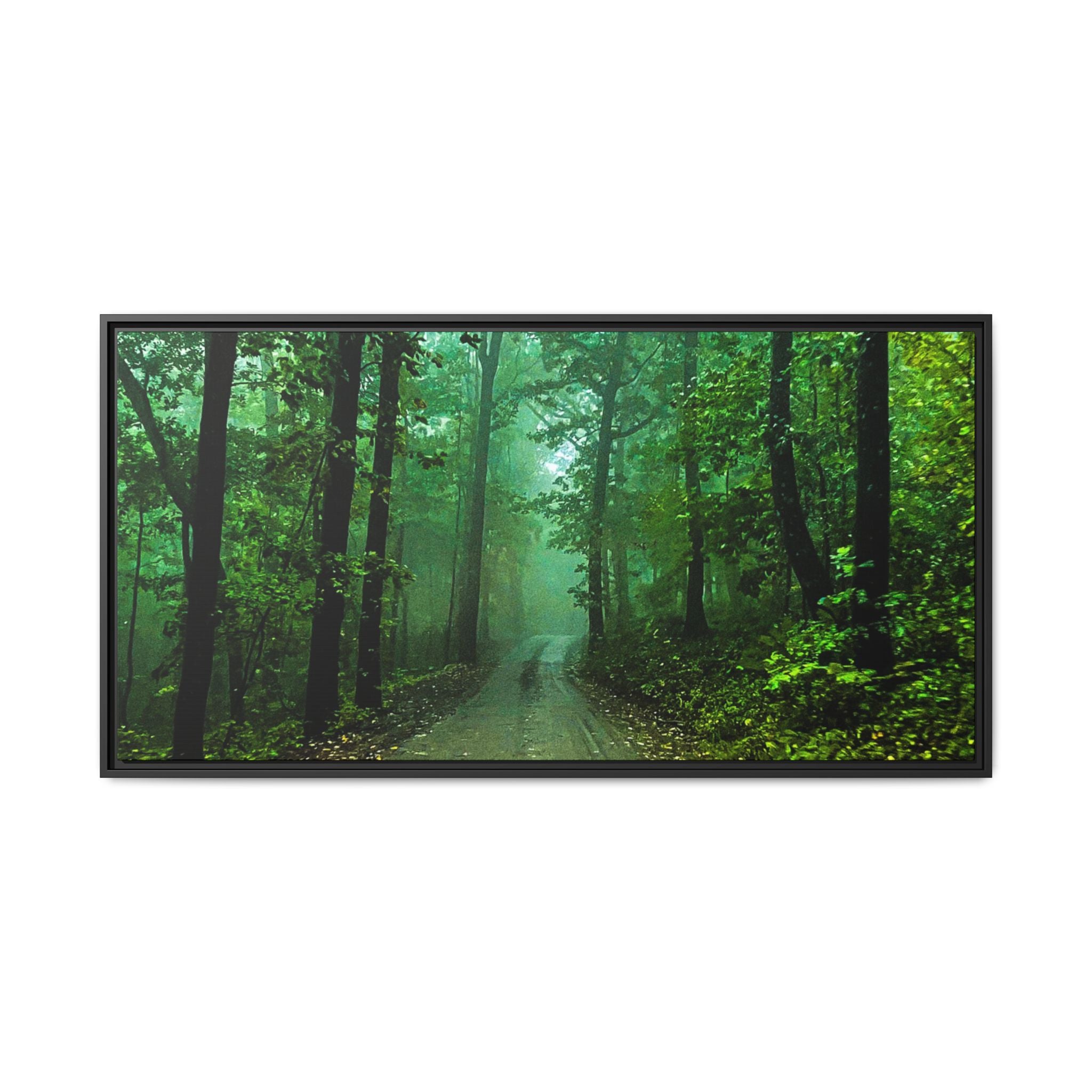 Misty Forest Path