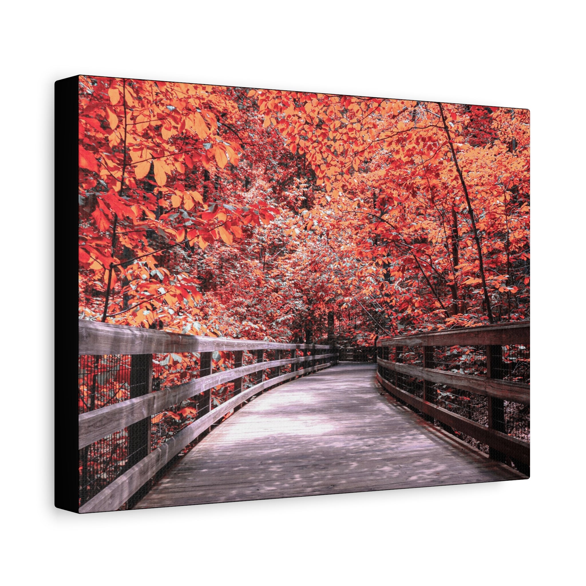Autumn Boardwalk