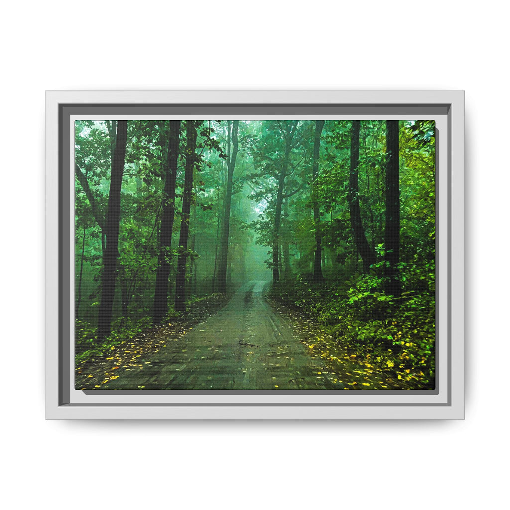 Misty Forest Path