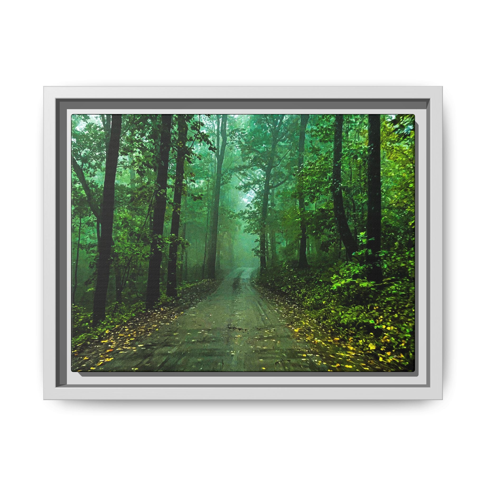 Misty Forest Path