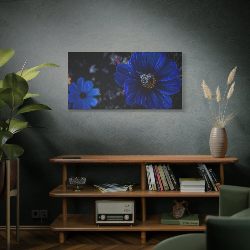 Midnight Bloom