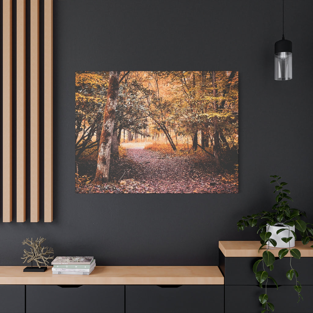 Golden Woodland