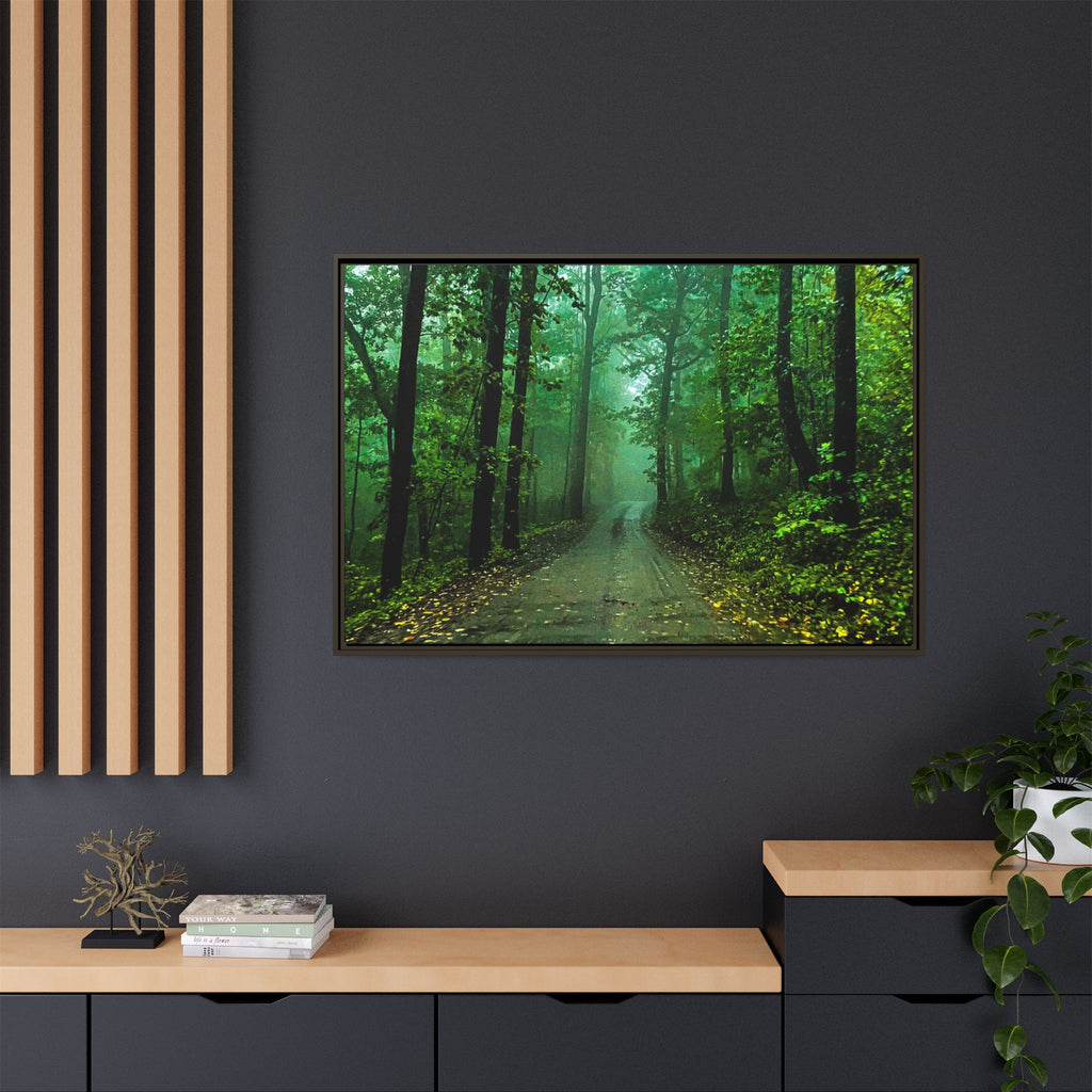 Misty Forest Path