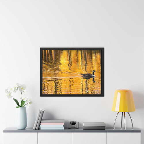Golden Reflection