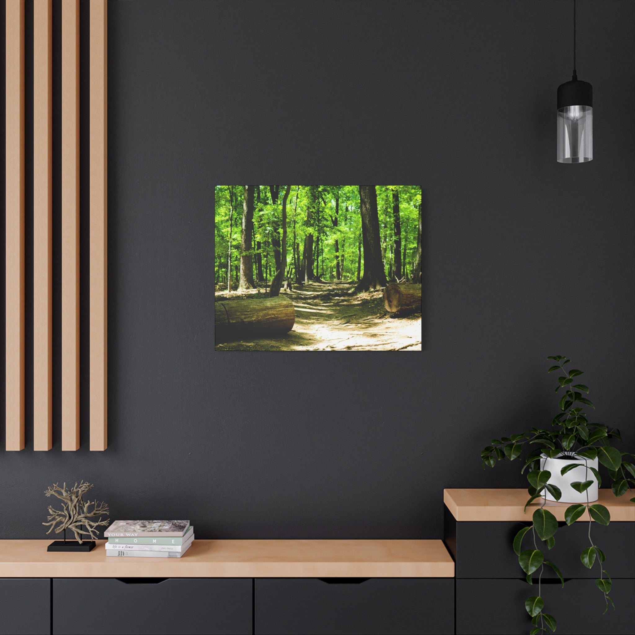 Sunlit Forest Path