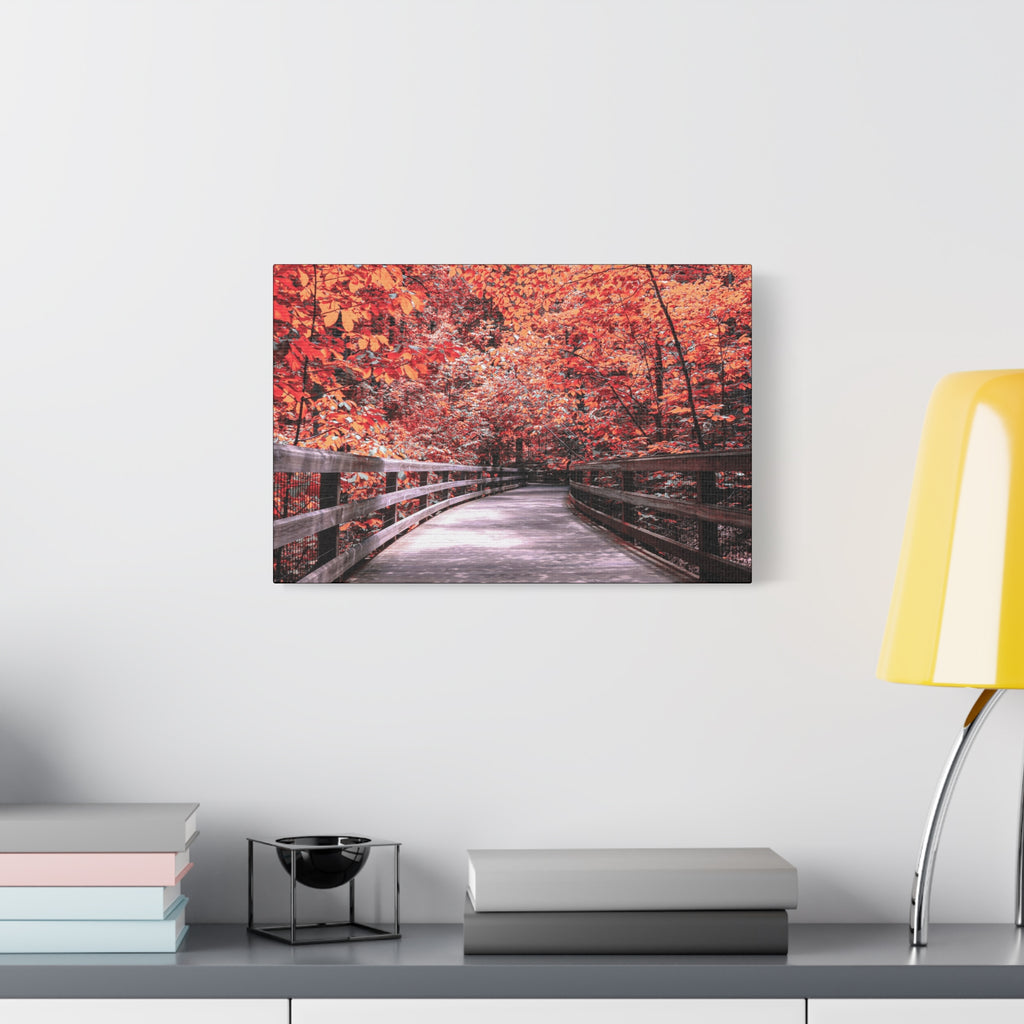Autumn Boardwalk
