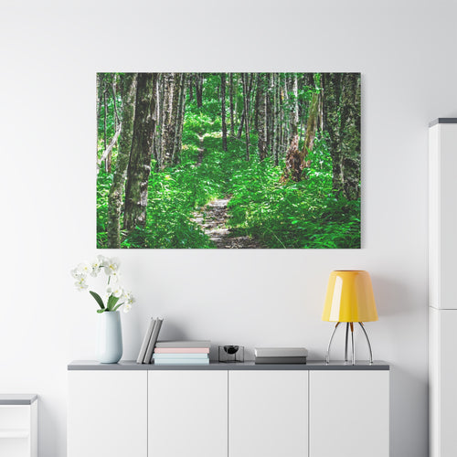 Green Forest Trail