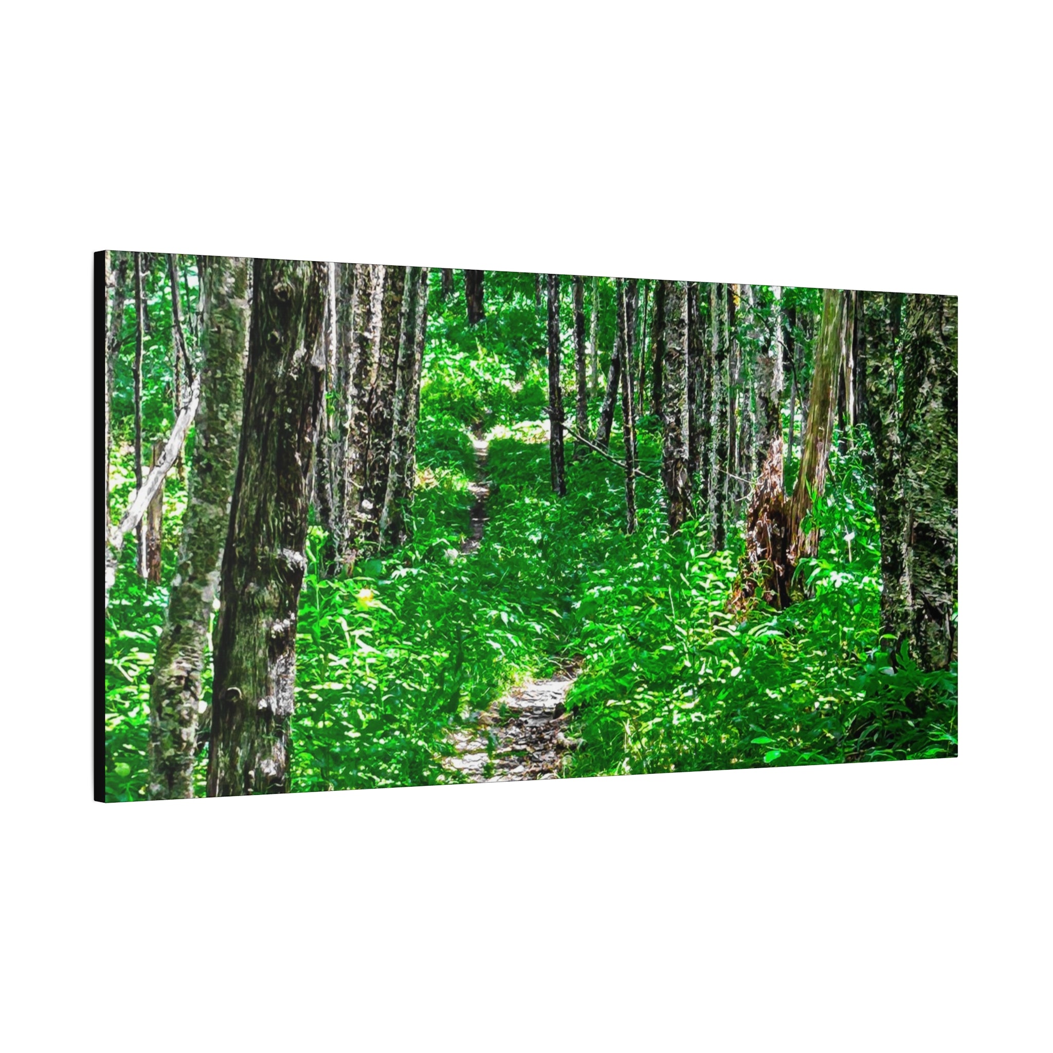 Green Forest Trail