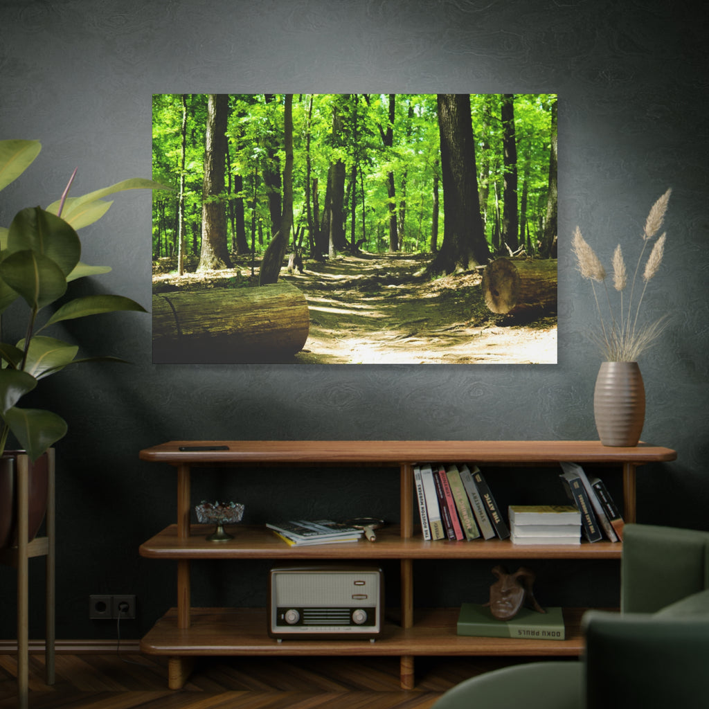 Sunlit Forest Path