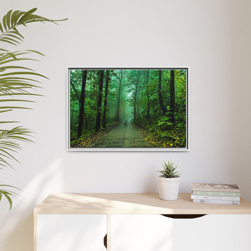 Misty Forest Path