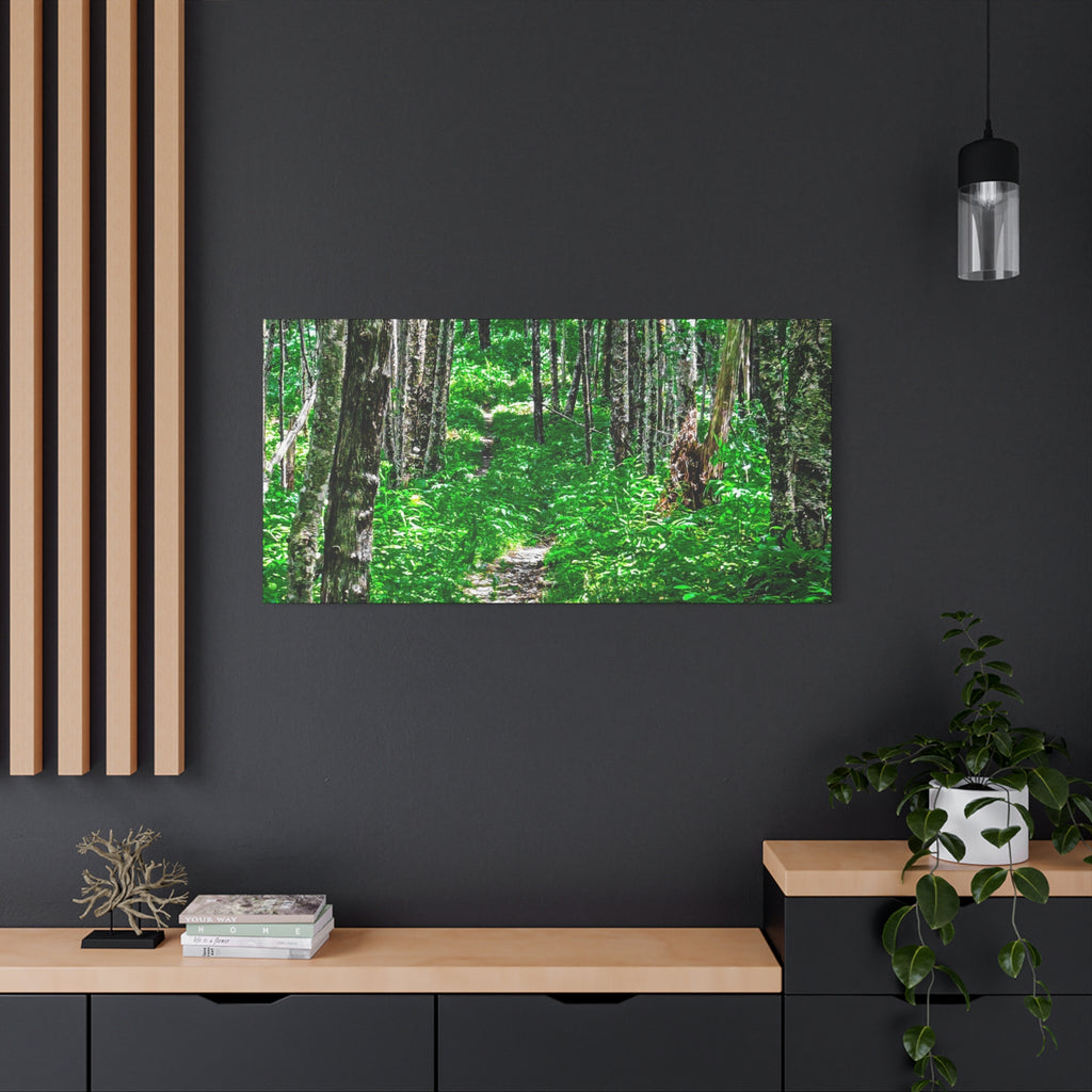 Green Forest Trail