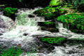 Emerald Cascade
