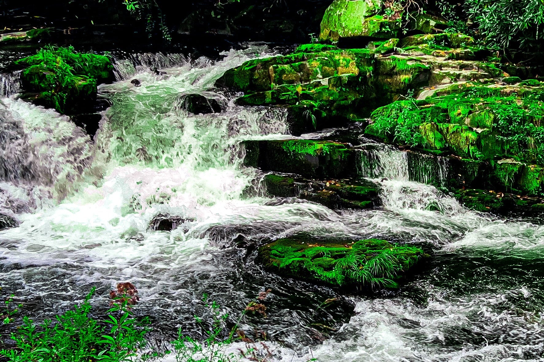 Emerald Cascade