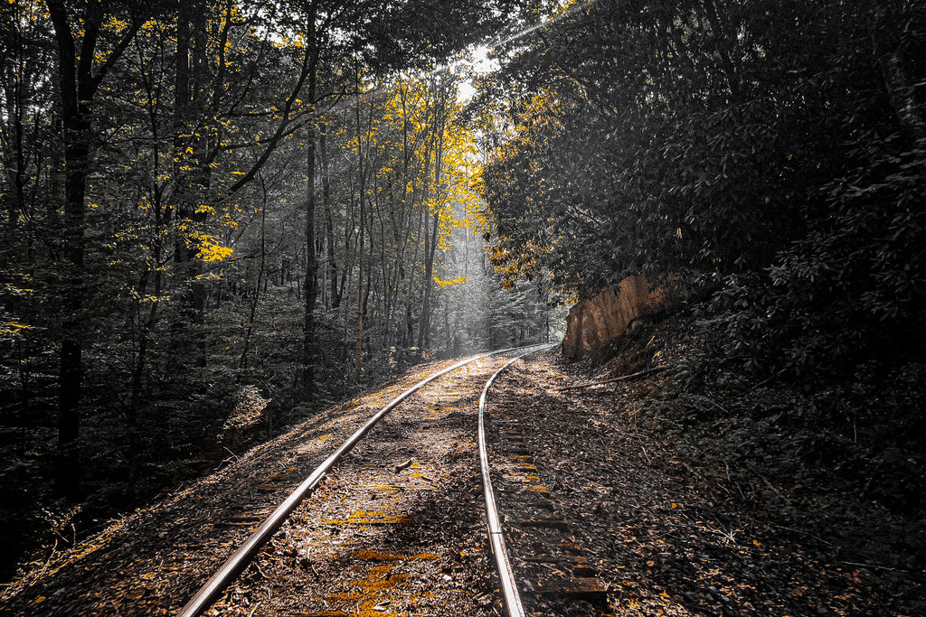 Where the Tracks Lead