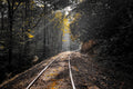 Where the Tracks Lead