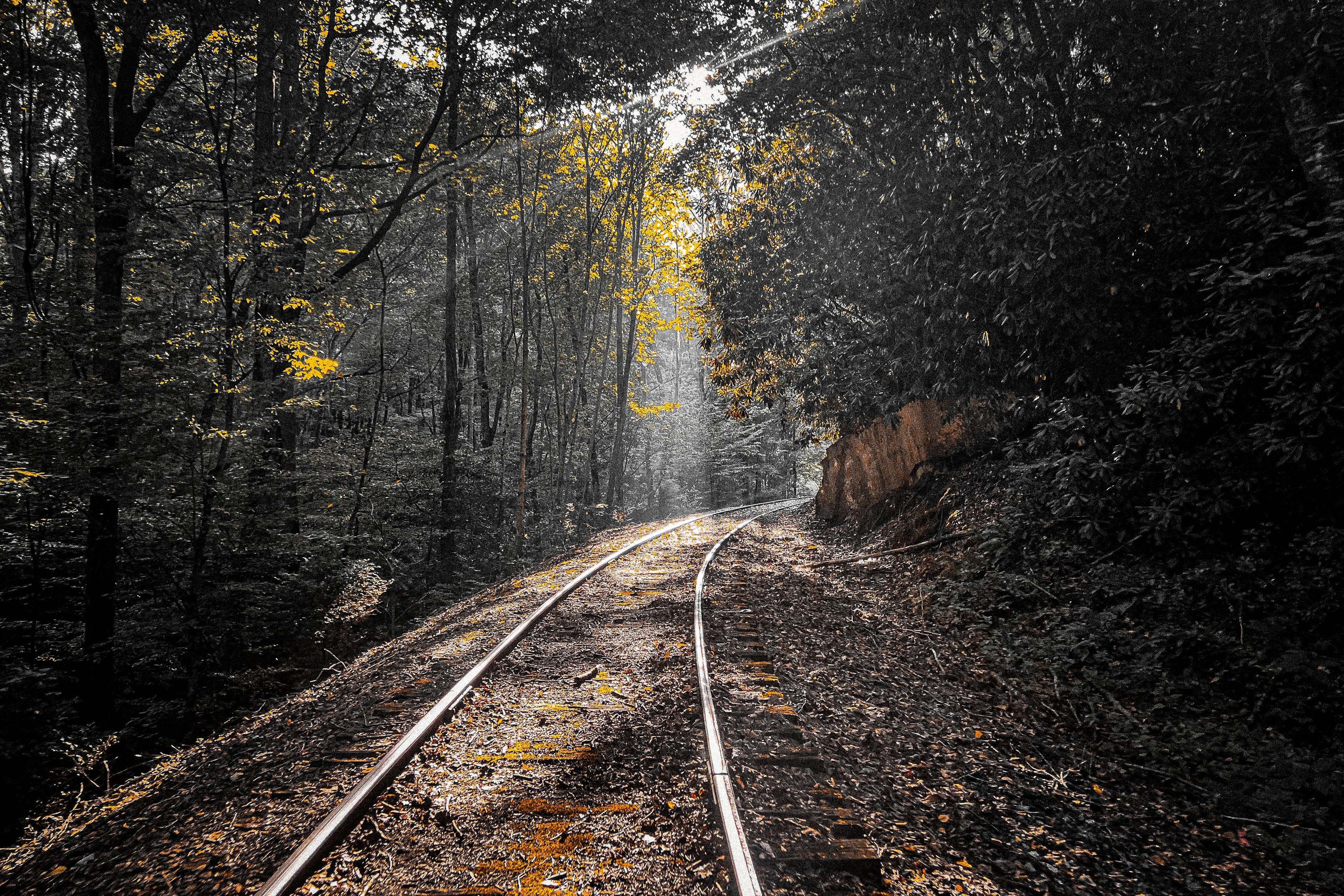 Where the Tracks Lead