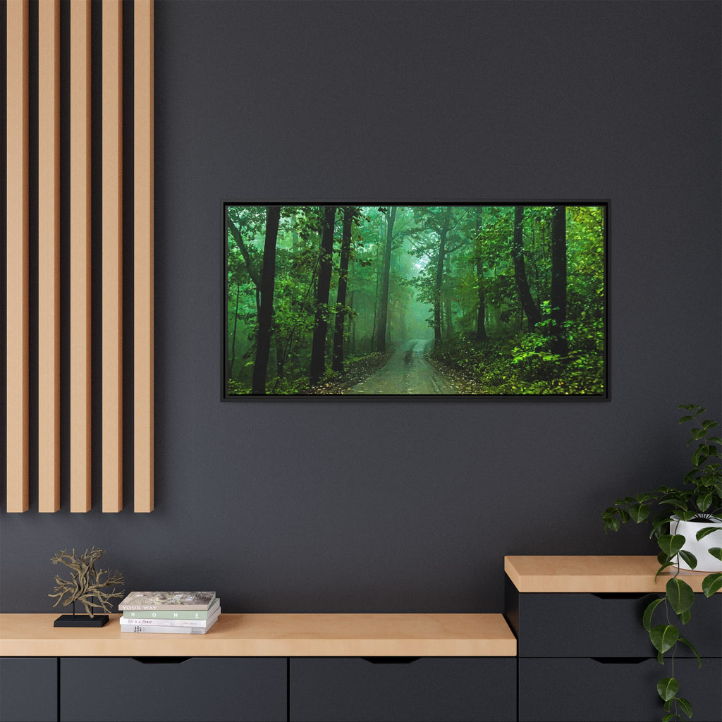 Misty Forest Path