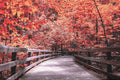 Autumn Boardwalk