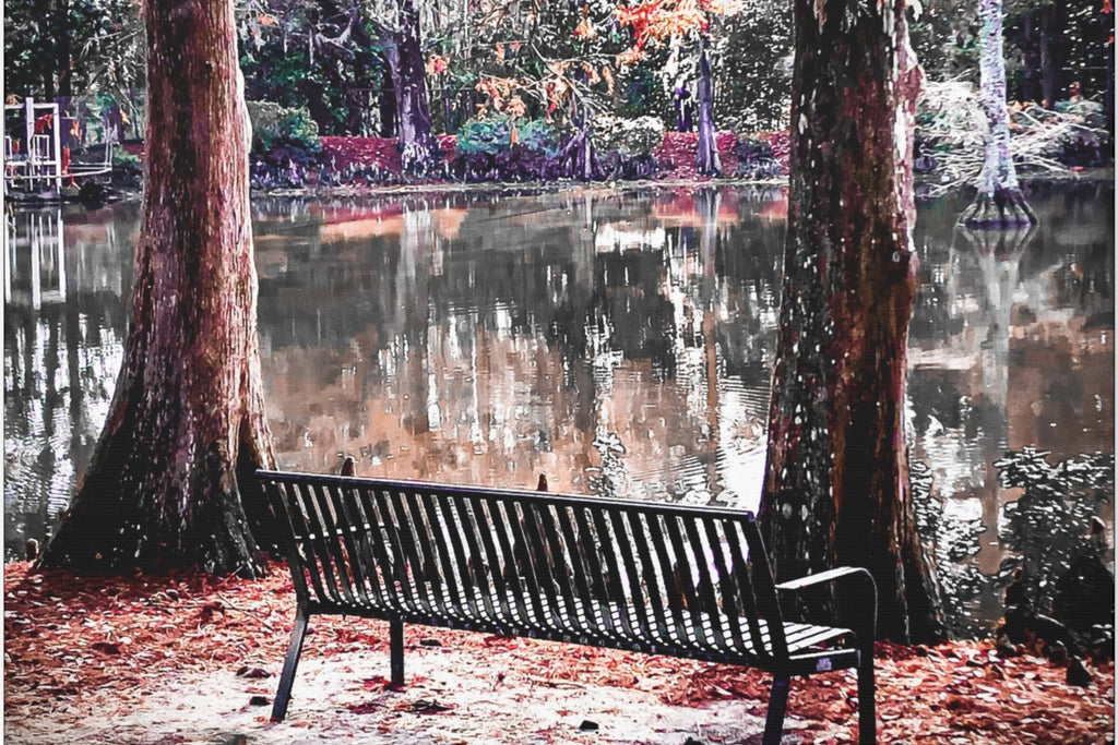 Quiet Reflections
