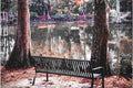 Quiet Reflections