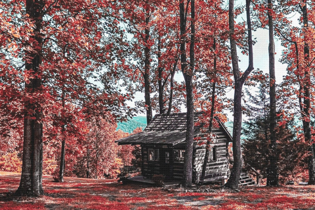 Cabin in the Woods