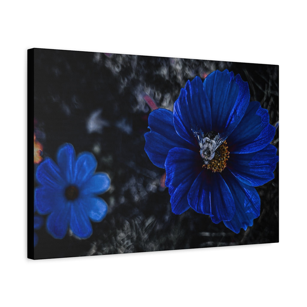 Midnight Bloom
