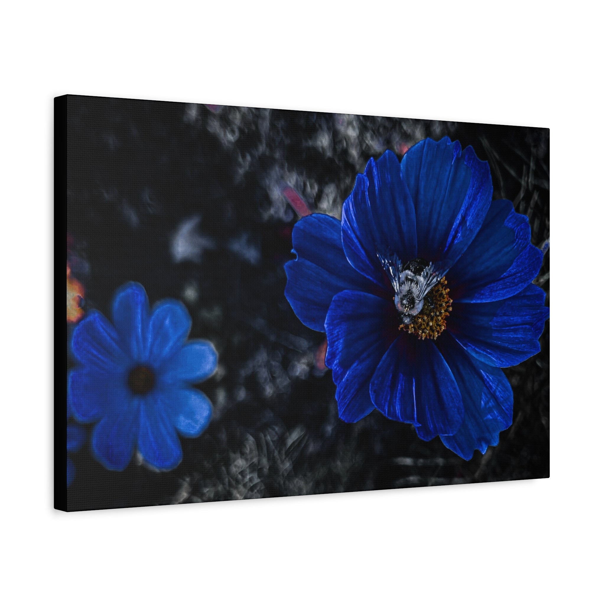 Midnight Bloom