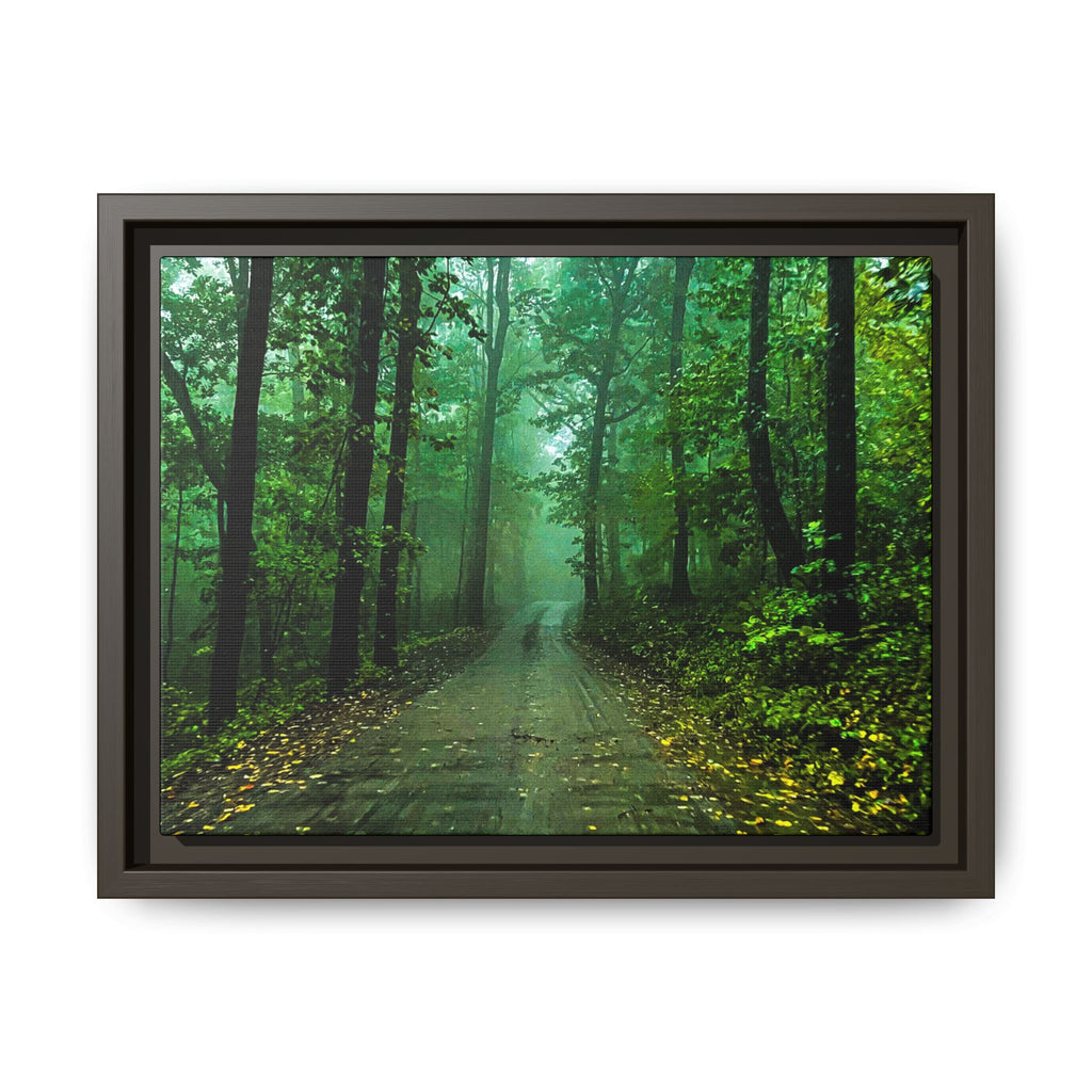 Misty Forest Path