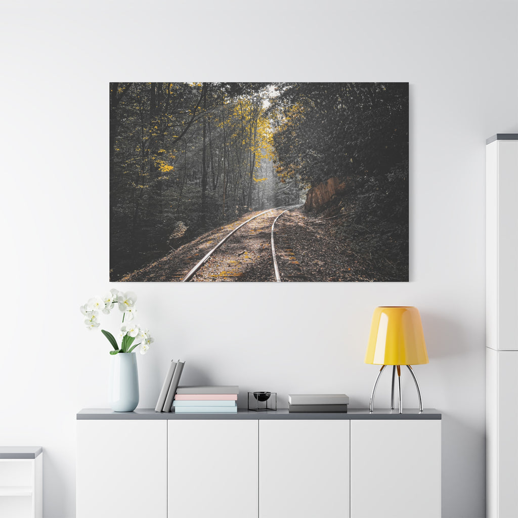 Where the Tracks Lead