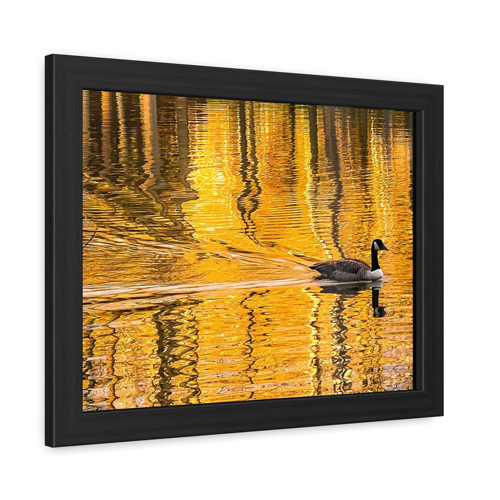 Golden Reflection
