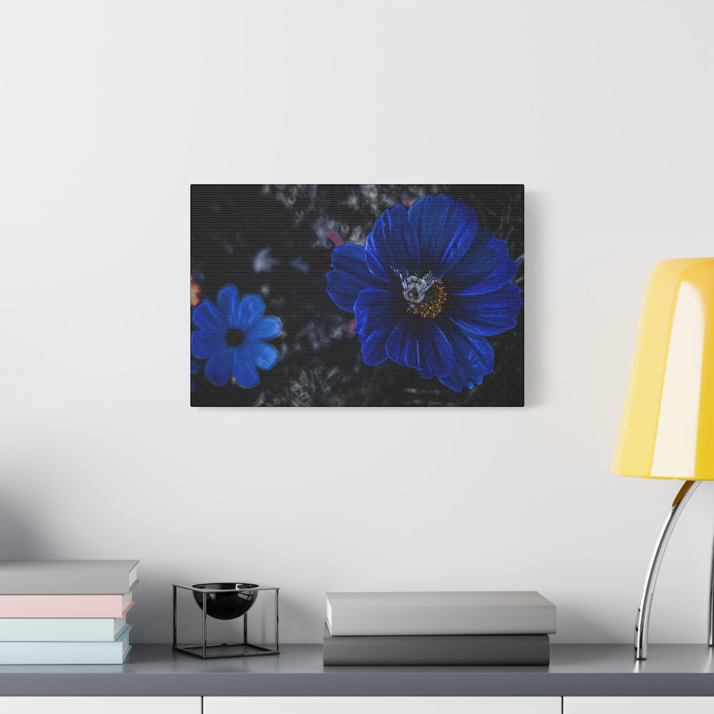 Midnight Bloom