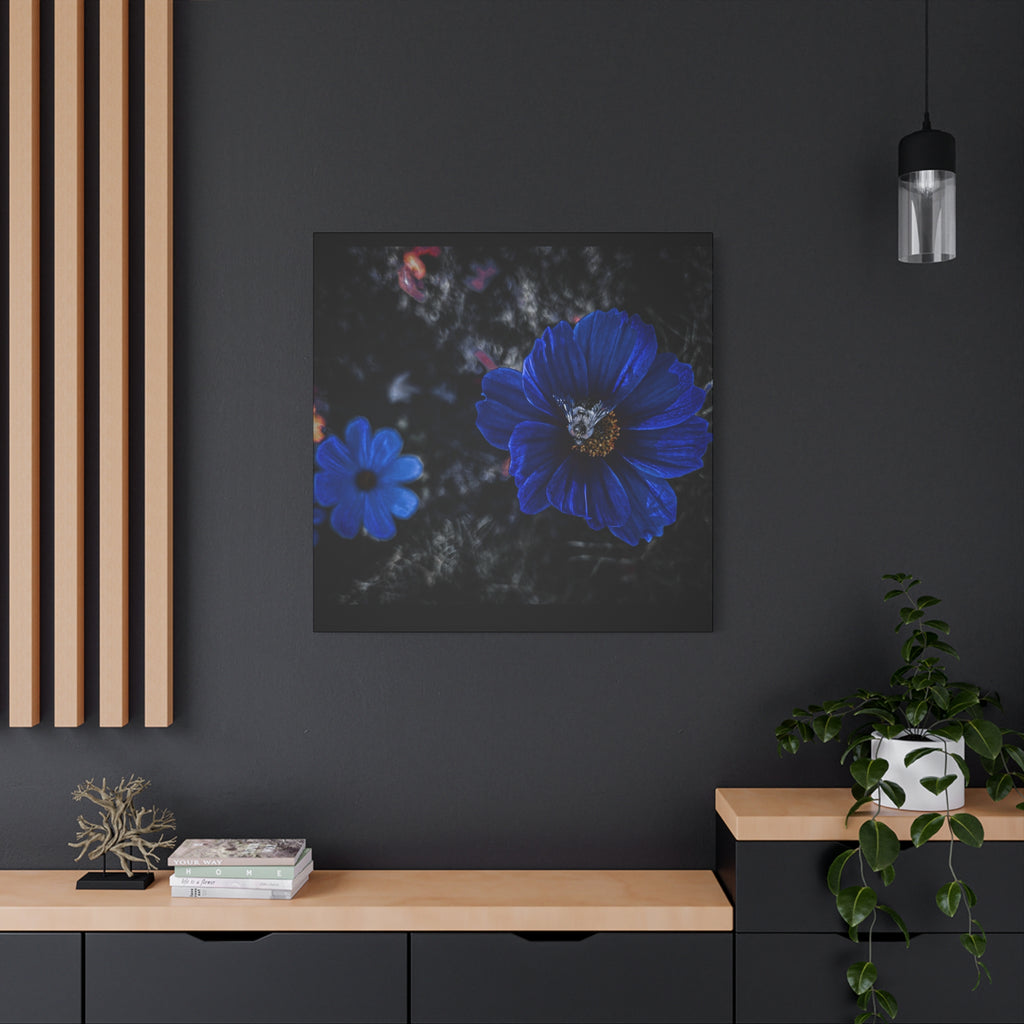 Midnight Bloom