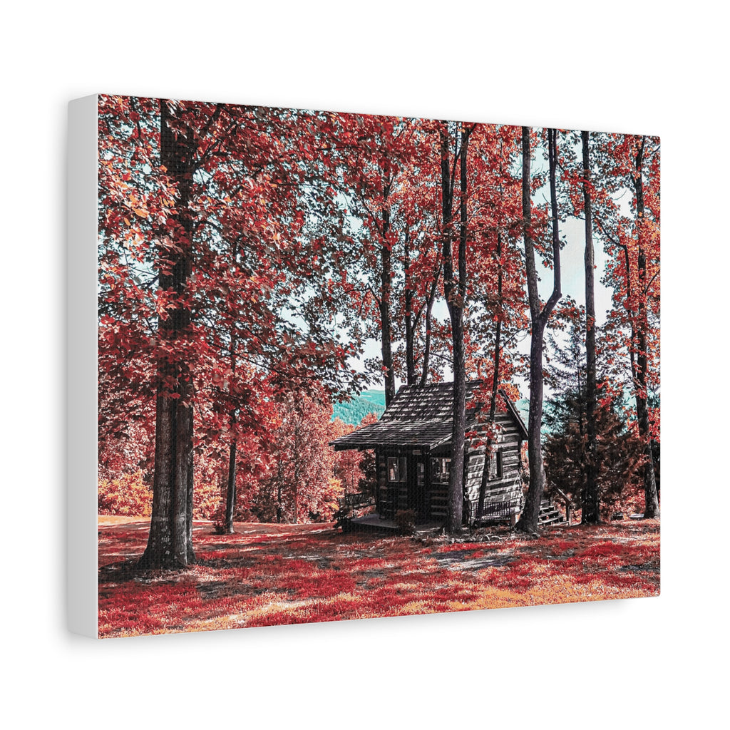 Cabin in the Woods