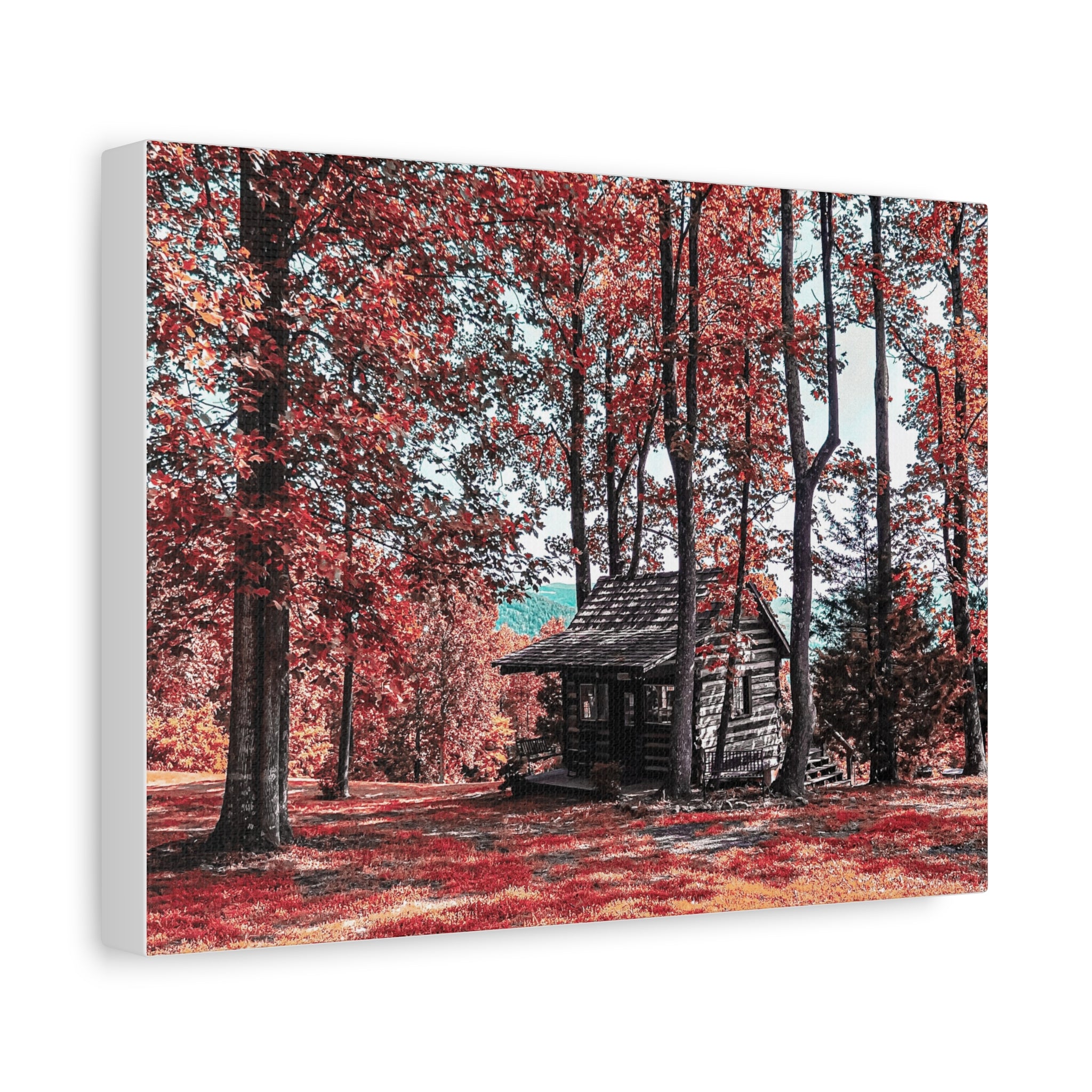 Cabin in the Woods