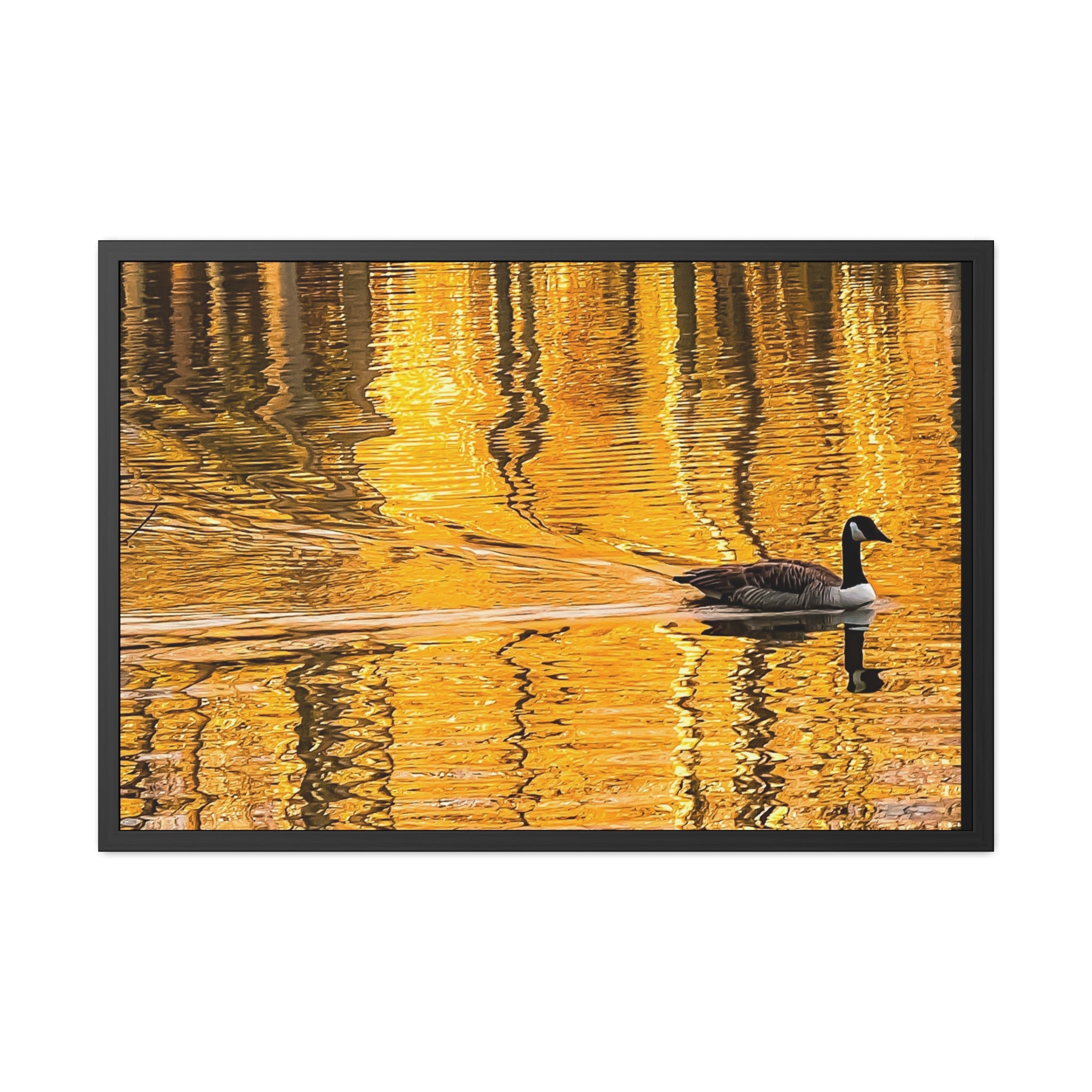 Golden Reflection