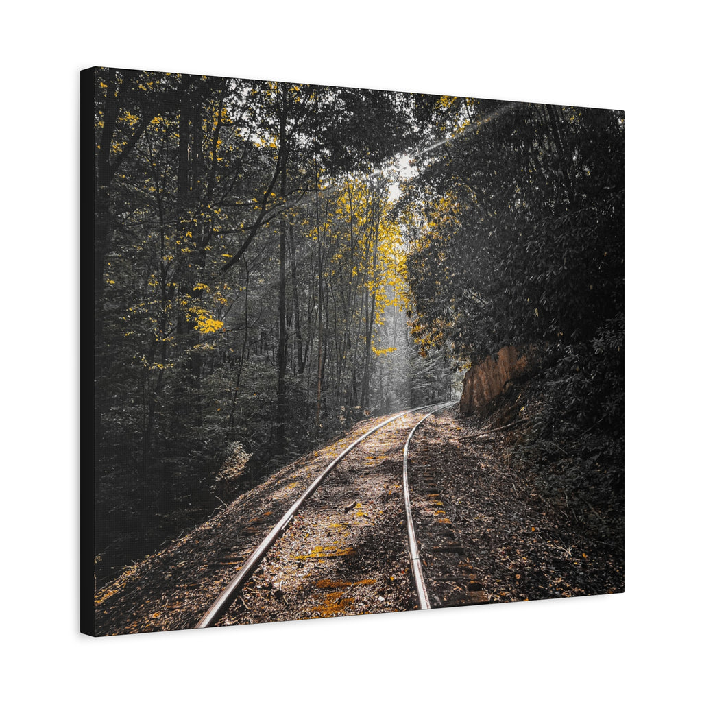 Where the Tracks Lead