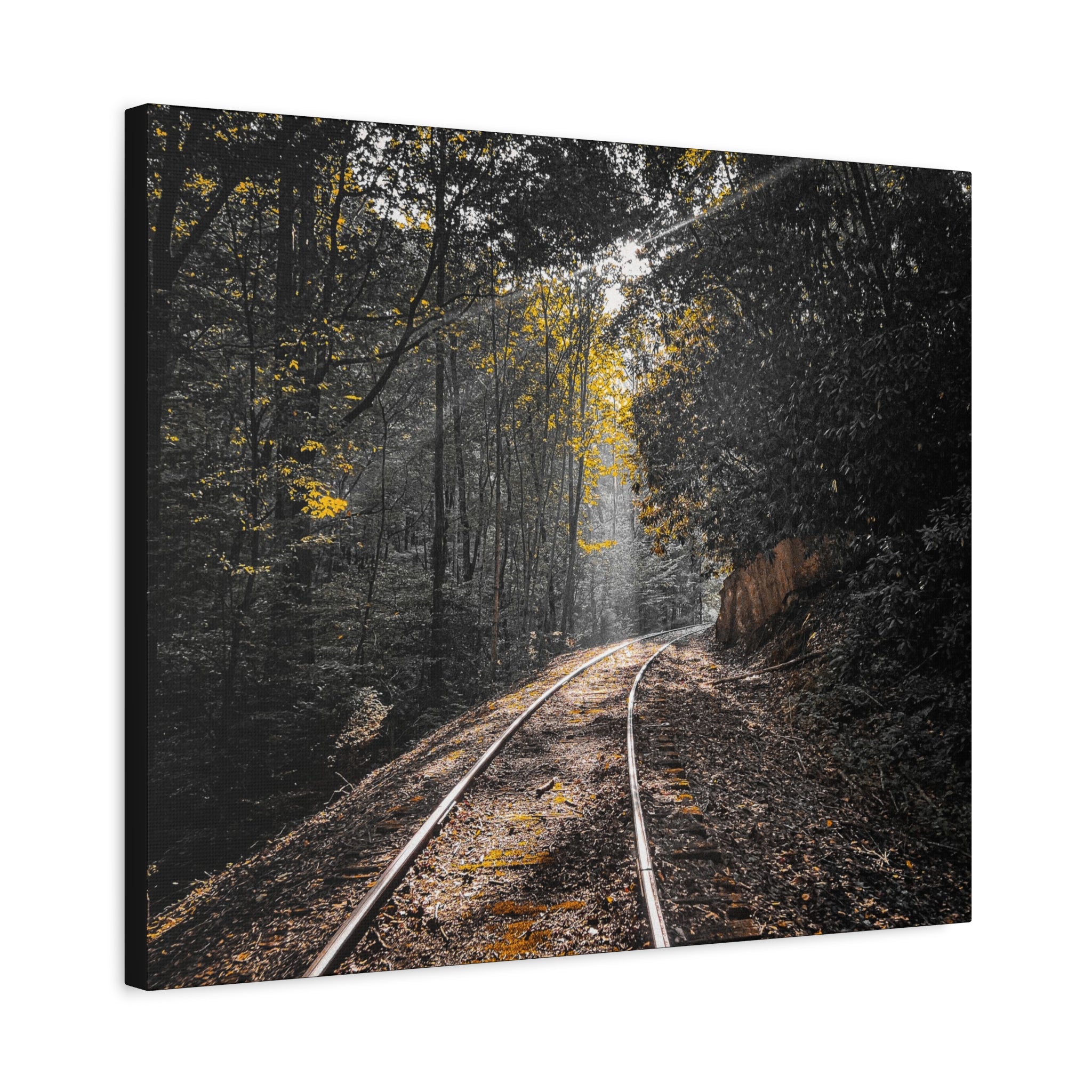 Where the Tracks Lead