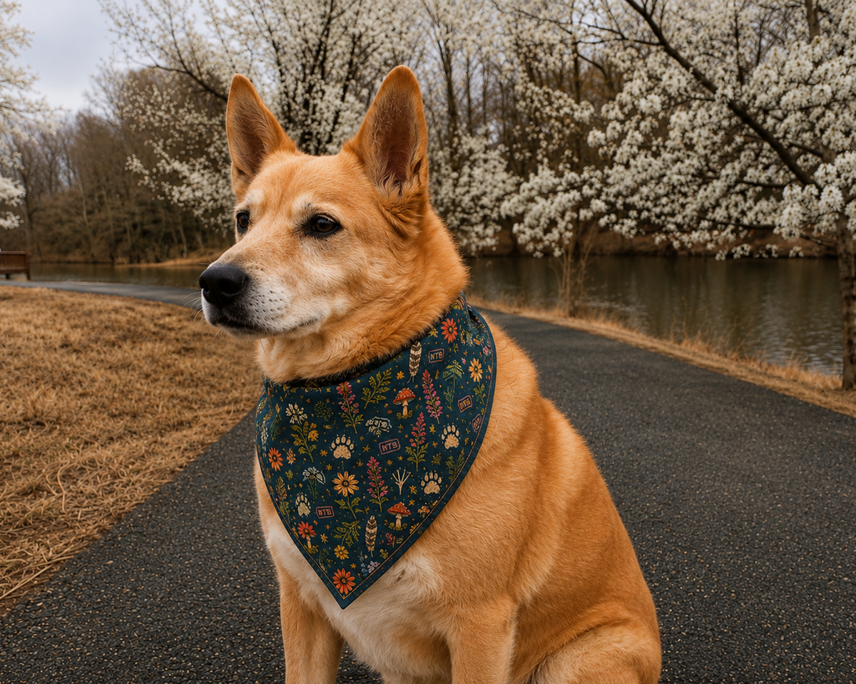 Wildflower Wander Bandana