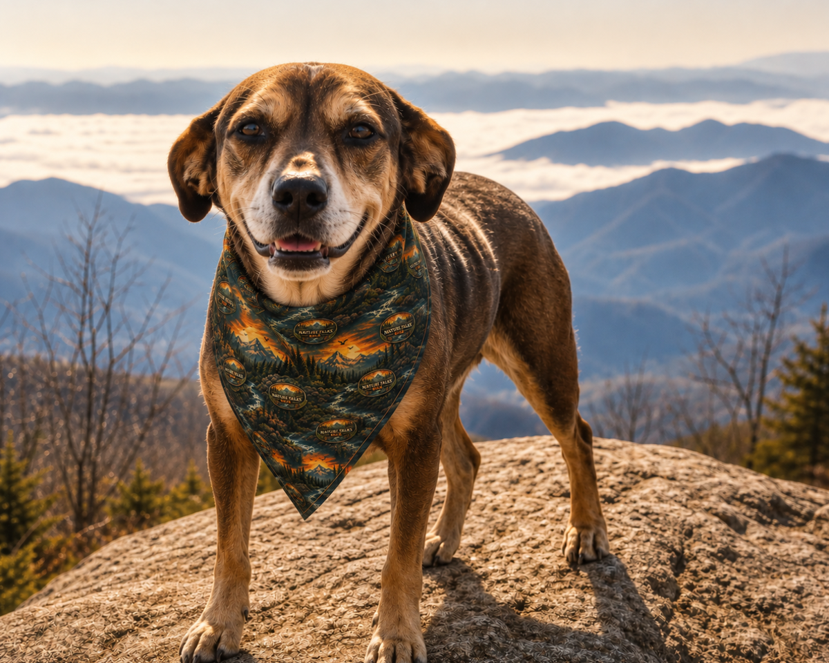 Mountain Wilderness Bandana