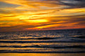Golden Ocean Sunset